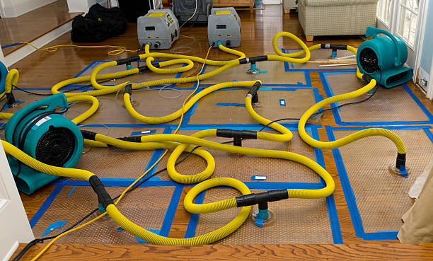 Professional Basement Flood Cleanup technician working in Minster, OH